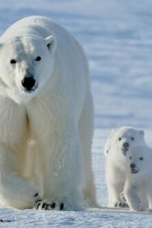 Могилів-Подільський Онлайн