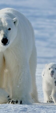 Могилів-Подільський Онлайн