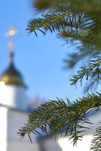 Могилів-Подільський Онлайн