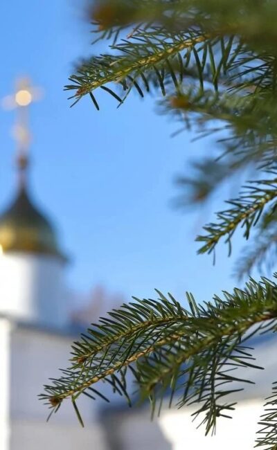 Могилів-Подільський Онлайн