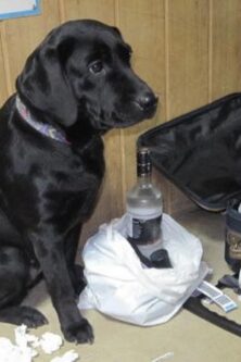 Могилів-Подільський Онлайн