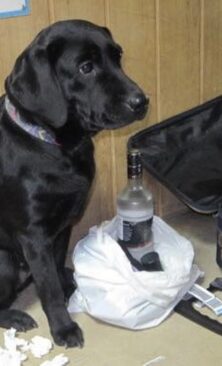 Могилів-Подільський Онлайн