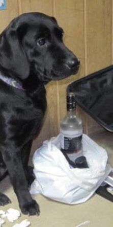 Могилів-Подільський Онлайн