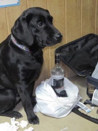 Могилів-Подільський Онлайн