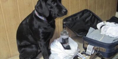 Могилів-Подільський Онлайн