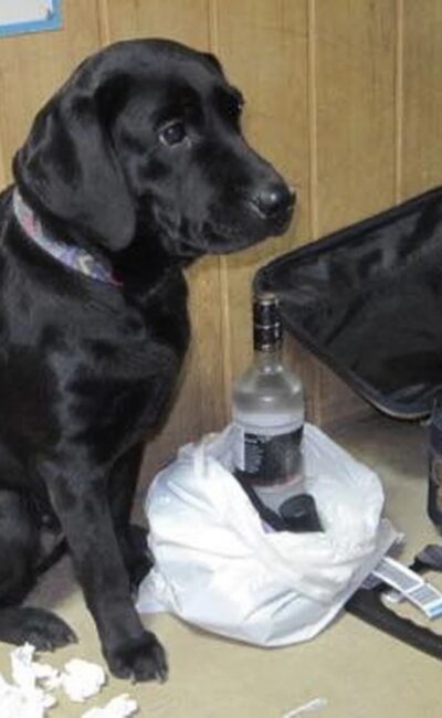 Могилів-Подільський Онлайн