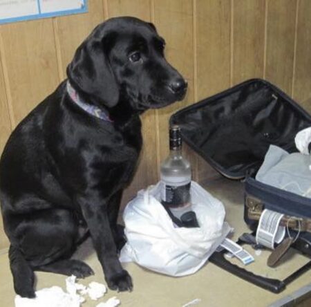 Могилів-Подільський Онлайн