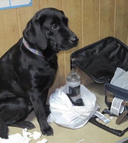 Могилів-Подільський Онлайн