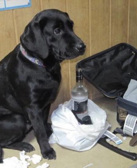 Могилів-Подільський Онлайн