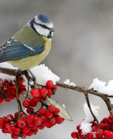 Могилів-Подільський Онлайн