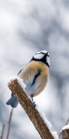 Могилів-Подільський Онлайн