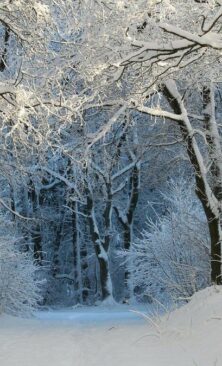 Могилів-Подільський Онлайн