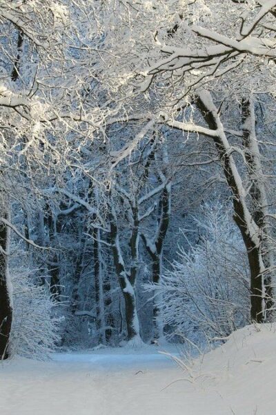 Могилів-Подільський Онлайн