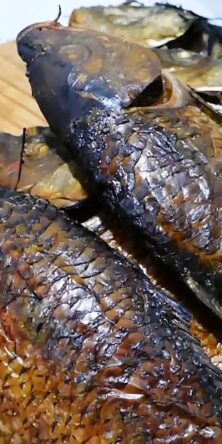 Могилів-Подільський Онлайн