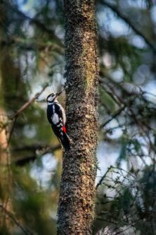 Могилів-Подільський Онлайн