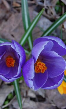 Могилів-Подільський Онлайн