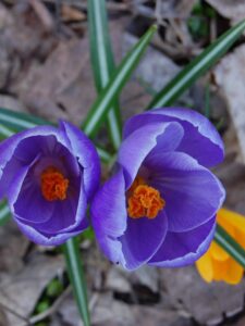 Могилів-Подільський Онлайн