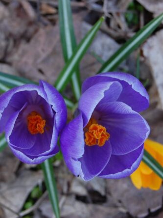 Могилів-Подільський Онлайн