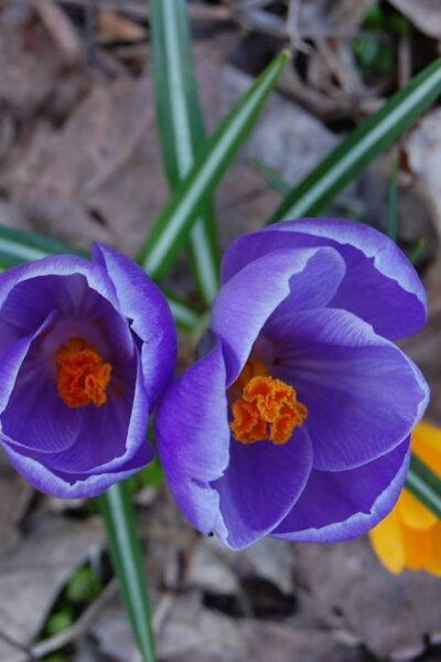 Могилів-Подільський Онлайн