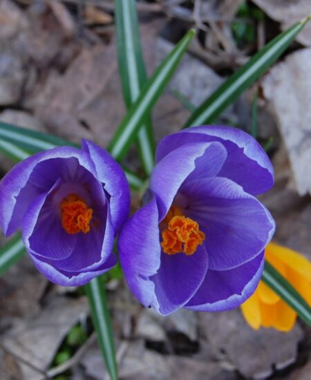 Могилів-Подільський Онлайн