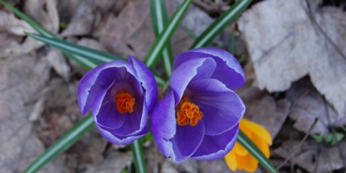 Могилів-Подільський Онлайн