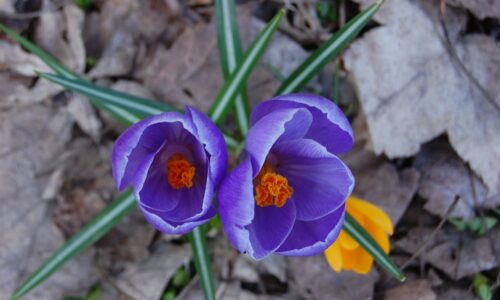 Могилів-Подільський Онлайн