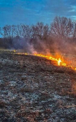 Могилів-Подільський Онлайн