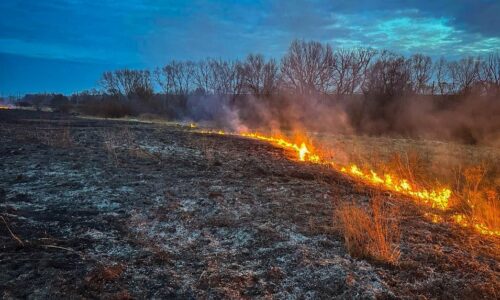 Могилів-Подільський Онлайн