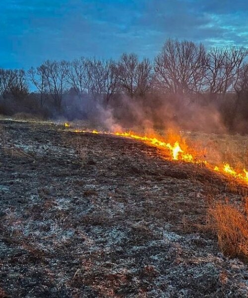 Могилів-Подільський Онлайн