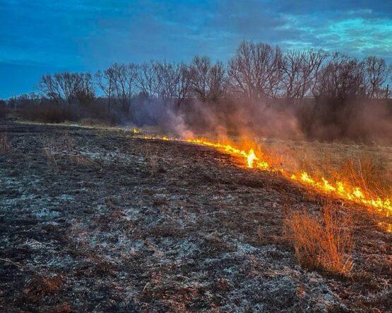 Могилів-Подільський Онлайн