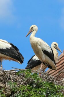 Могилів-Подільський Онлайн