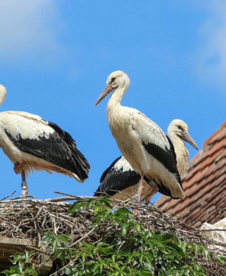 Могилів-Подільський Онлайн