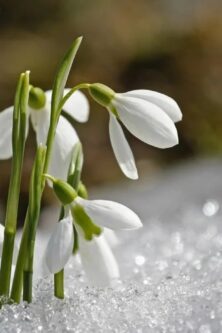 Могилів-Подільський Онлайн