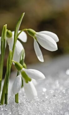 Могилів-Подільський Онлайн