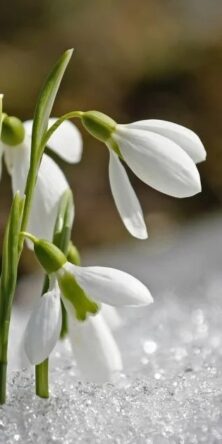 Могилів-Подільський Онлайн