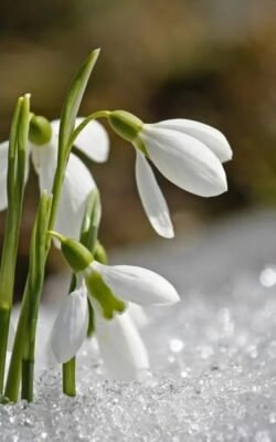 Могилів-Подільський Онлайн