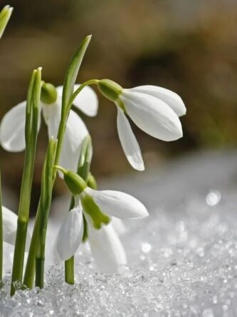 Могилів-Подільський Онлайн