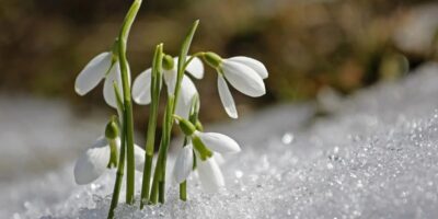 Могилів-Подільський Онлайн