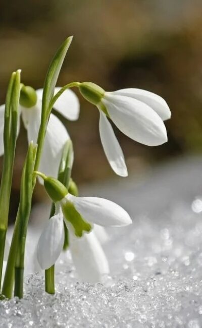 Могилів-Подільський Онлайн