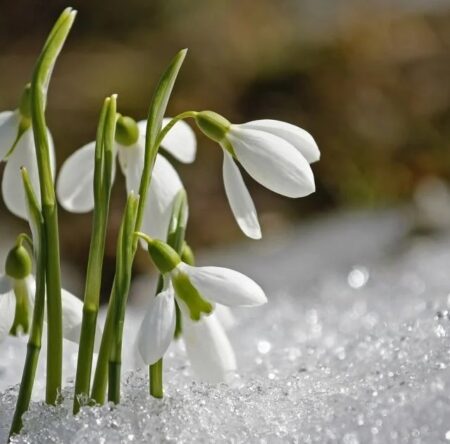 Могилів-Подільський Онлайн