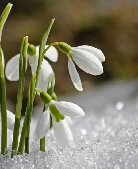 Могилів-Подільський Онлайн