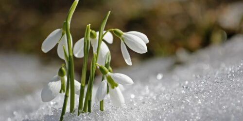 Могилів-Подільський Онлайн