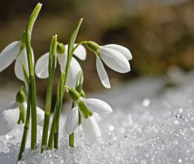 Могилів-Подільський Онлайн
