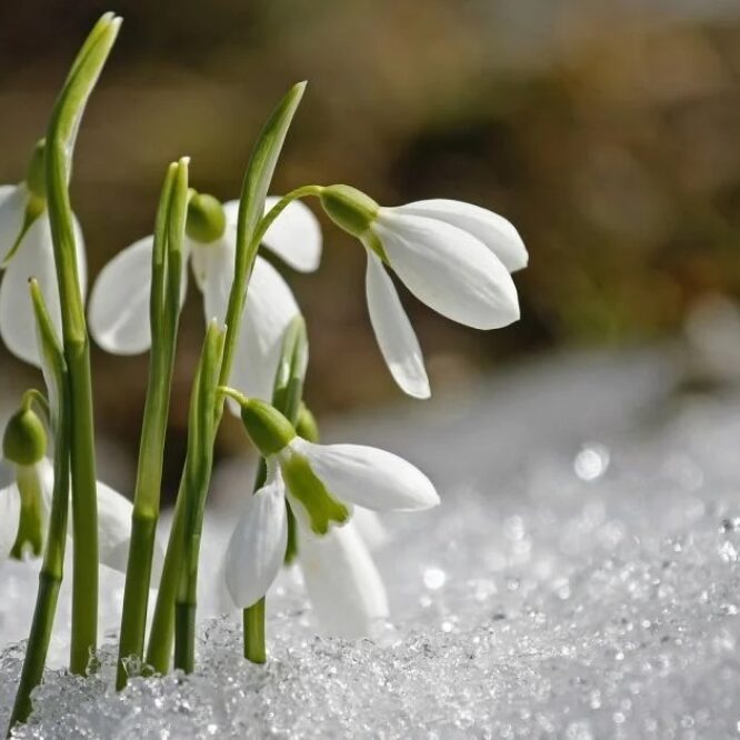 Могилів-Подільський Онлайн