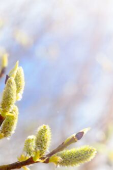 Могилів-Подільський Онлайн