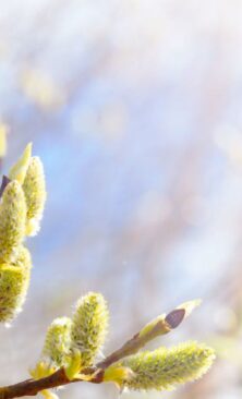 Могилів-Подільський Онлайн