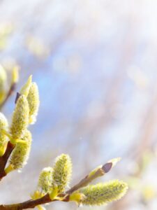 Могилів-Подільський Онлайн