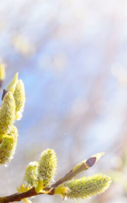 Могилів-Подільський Онлайн