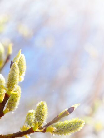 Могилів-Подільський Онлайн