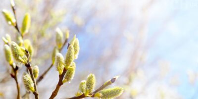 Могилів-Подільський Онлайн